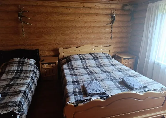 лісовик *