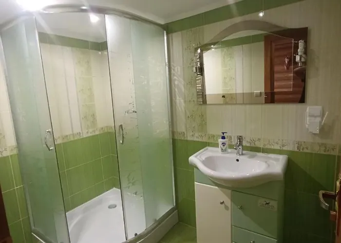 лісовик Apartman Felsőszinevér
