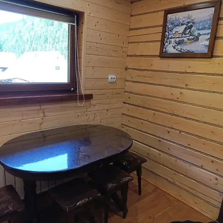 лісовик Appartement Synevyrsʼka Polyana