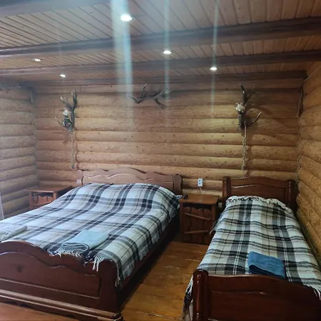 лісовик Synevyrsʼka Polyana