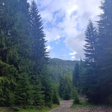 Appartement лісовик Synevyrsʼka Polyana